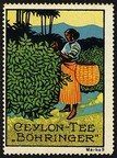 Bohringer Ceylon Tee Marke 09 (Teepfluckerin)