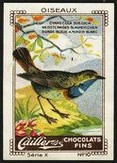 Cailler Serie X No 10 Oiseaux Weissterniges Blaukehlchen