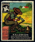 Kalobion der Nahrsalzkaffee (WK 01)