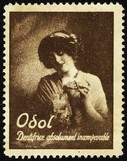 Odol (braun - WK 06)