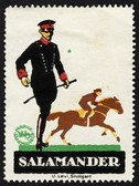 Salamander 15